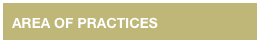 AREA OF PRACTICES